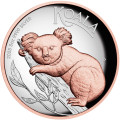 Australian Koala 2025 5oz Silver Proof High Relief Gilded Coin