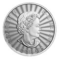 Canada 1 oz silver The MAJESTIC POLAR BEAR 2022 $5 bu