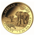 GOLD 1 oz ELEPHANT 2025 SOMALIA 1 000 shillings