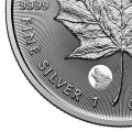 Treasured Maple Leaf 1 oz silver MAPLE LEAF 2026 $5 BU CONGRATULATIONS