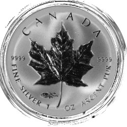 1 oz silver MAPLE LEAF 2014 $5 PRIVY F15 BU in capsule