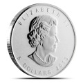 1 oz silver Maple Leaf 2013 Privy F15 in capsule