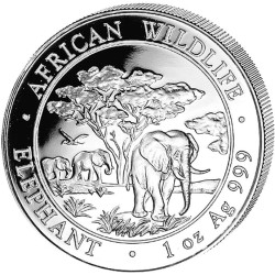 Somalia 1 oz silver ELEPHANT 2012 bu
