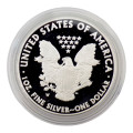 USA 1 oz silver Eagle 2010 $1 bu
